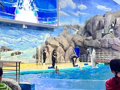 -福州罗源湾海洋世界旅游区