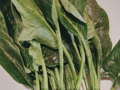 -蒙都43°9羊火锅·赤峰美食(宁城店)