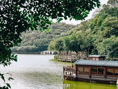 -李小龙乐园(顺德均安店)