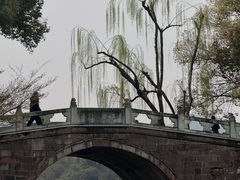-西湖游船