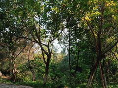 -草庵摩尼教遗址公园