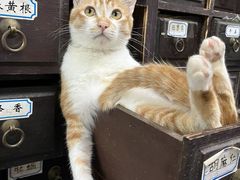 -荔康动物医院(康王北路店)