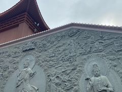 -深圳仙湖植物园