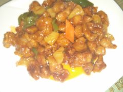 香菠咕老肉-红高粱大酒店(宁山东路店)