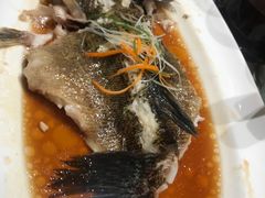 -张生记(丁香国际店)