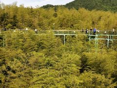 -陶祖圣境风景区