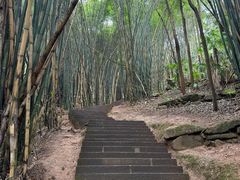 -凤栖山