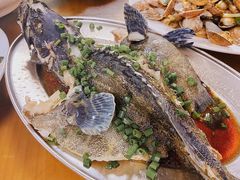 清蒸老虎斑-明记海鲜大排档(巽寮湾店)