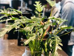 大堂-Seesaw Coffee(上海尚悦湾店)