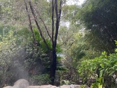 -河源客天下-温泉小镇