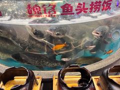 -魏铭鱼头捞饭(晋阳路店)