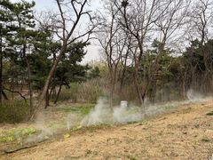 -北京西山国家森林公园