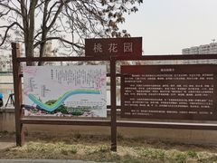 -桃花堤公园