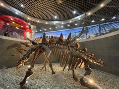 -国家自然博物馆