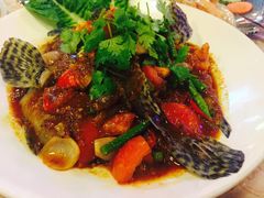 豆豉蒸虎斑-灯笼馆海鲜餐厅