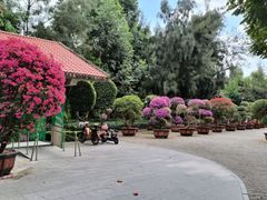 -狐尾山公园