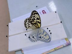 -尼莫儿童美术(三阳路融科天城校区)