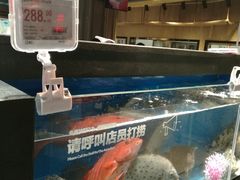 -盒马鲜生(曜一城店)