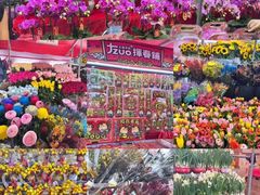 -越秀西湖花市(广州城市广场花卉店)