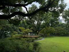 -申粤轩酒楼·三十年粤菜经典(丁香花园店)