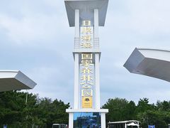-日照海滨国家森林公园