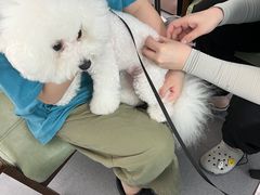 -总动员动物医院(宝丰院店)