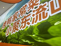 -东流山烤鸭·家常菜(雨山龙湖店)
