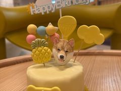 -帕帕拉兹宠物(亚洲旗舰店)