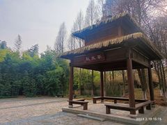 -苏州太湖国家湿地公园