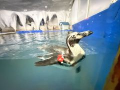 -中央电视塔旋转餐厅