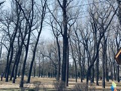 -二一九公园