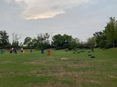 -上海崇明金茂凯悦酒店