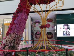 -万达茂商场(南京仙林店)