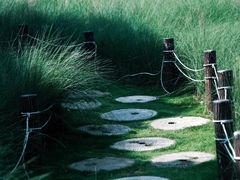 -红花山公园