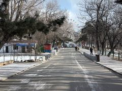 -二一九公园