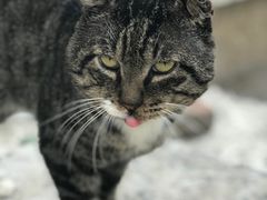 -川外川(星海店)