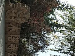 -木塔寺遗址生态公园