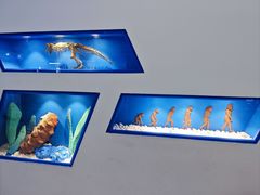 -龙塔