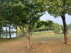 -尚贤河湿地