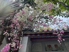 -深圳国际园林花卉博览园