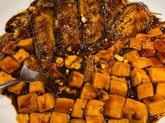 -老吉士酒家(天平路店)