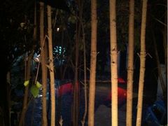 窗外的景色-花马天堂云南餐厅 Lost Heaven(高邮路店)