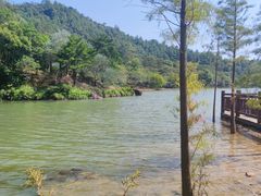 -广州白江湖森林公园