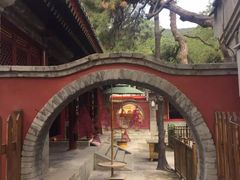 -八大处公园