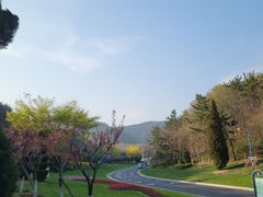 -棒棰岛宾馆景区