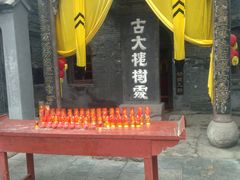 -大槐树寻根祭祖园