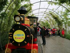 -米果果小镇