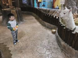 -宝燕乐园(闵行旗舰店)