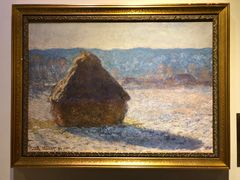 -印象莫奈时光映迹艺术展
