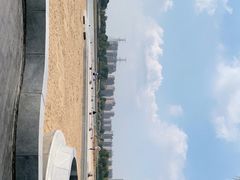 -金沙湖公园